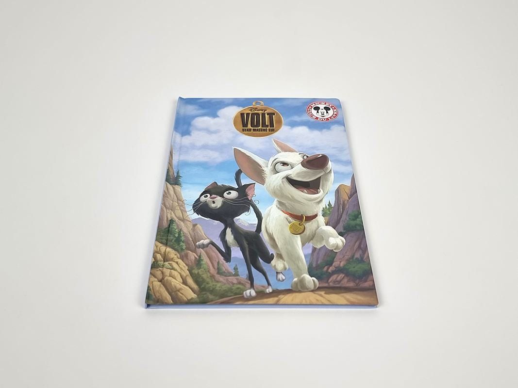 Libri: Kinderbuch "Volt" Französisch – Usato da Urtenen-Schönbühl venduto da Restwert_Schoenbuehl 1