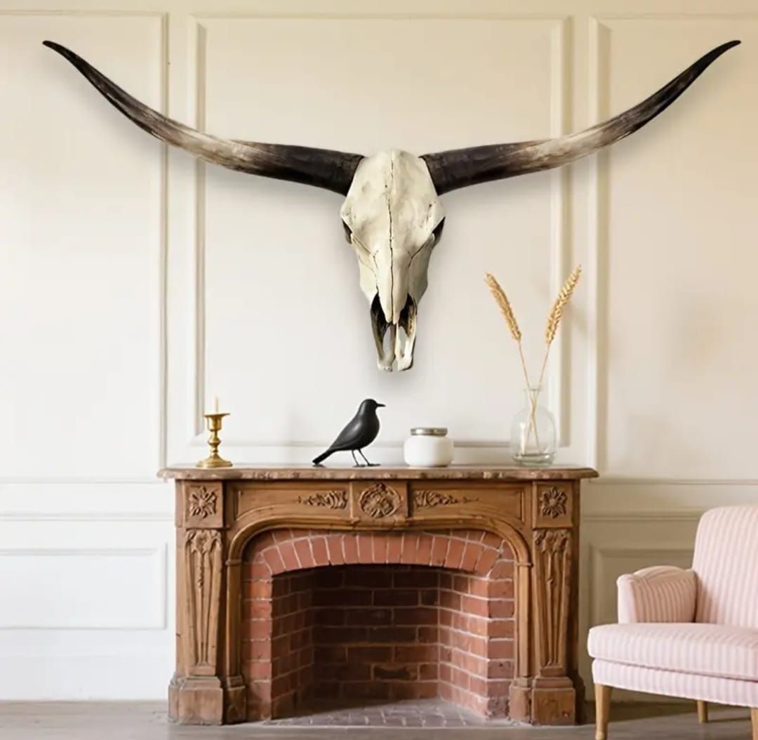 Tutte le decorazioni: Longhorn Kuh Schädel Wanddeko – Nuovo e nell'imballaggio originale da Hohenrain venduto da cars77 1