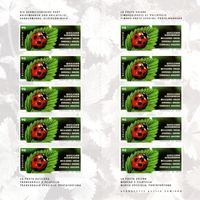 Bogen Glücksbringer Marienkäferchen**