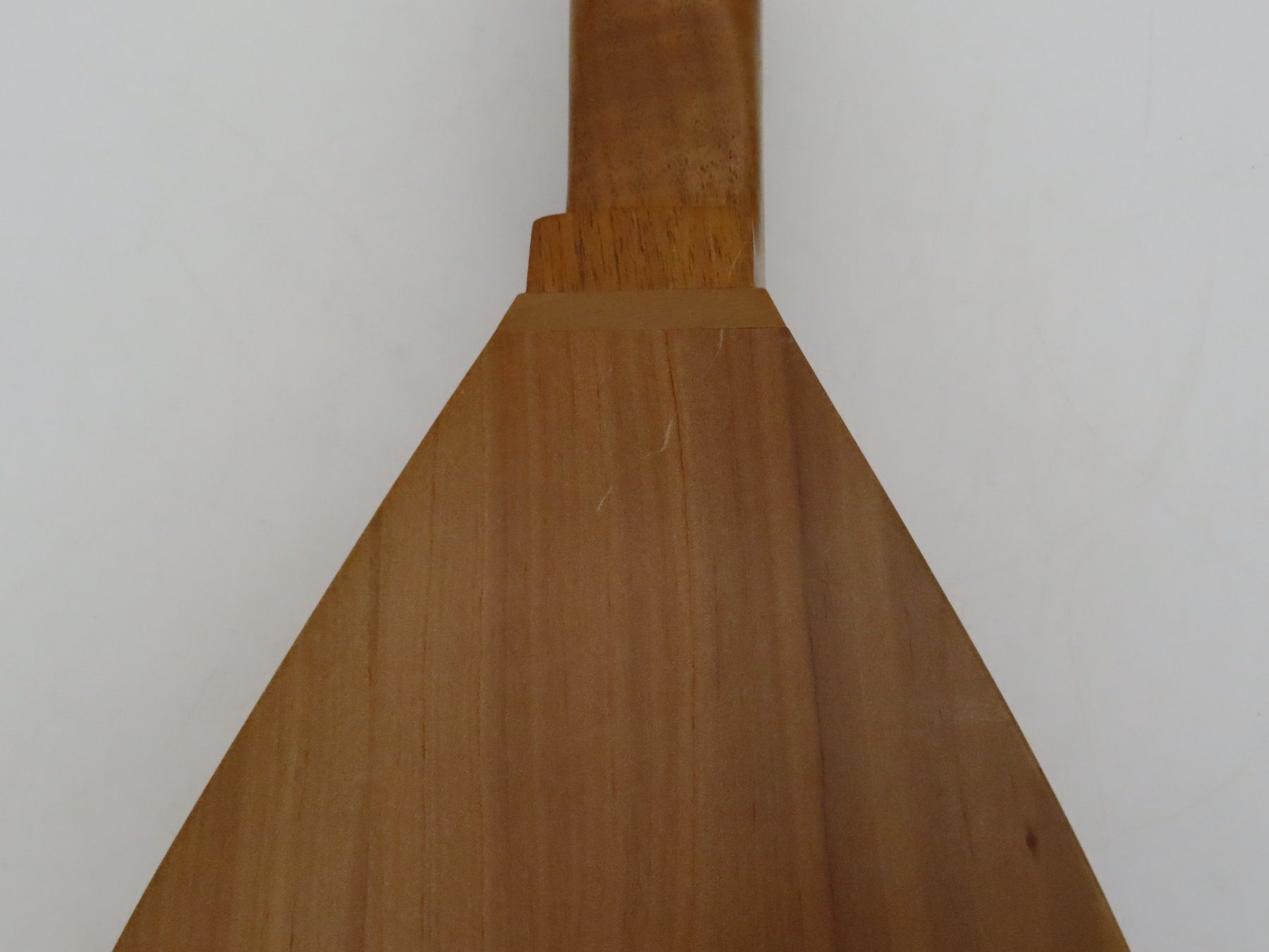 Musikinstrumente: Mountain Dulcimer – Gebraucht aus Reinach BL von WBZ-Flohmarkt 9