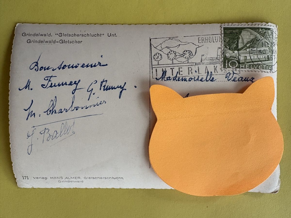 Cartoline postali: AK von Grindelwald / Gletscherschlucht – Usato da Rümlang venduto da Kartenpost1 1
