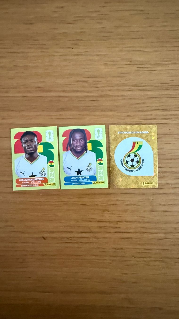Panini Carte collezionabili: Panini Sammelbilder – Nuovo (secondo la descrizione) da Zürich venduto da shopping.basket 6