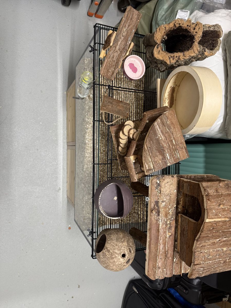 Käfige, Transport & Sicherheit: Hamsterkäfig mit diversen Zubehör – Neu (gemäss Beschreibung) aus Uznach von DaniRodrigues7 1