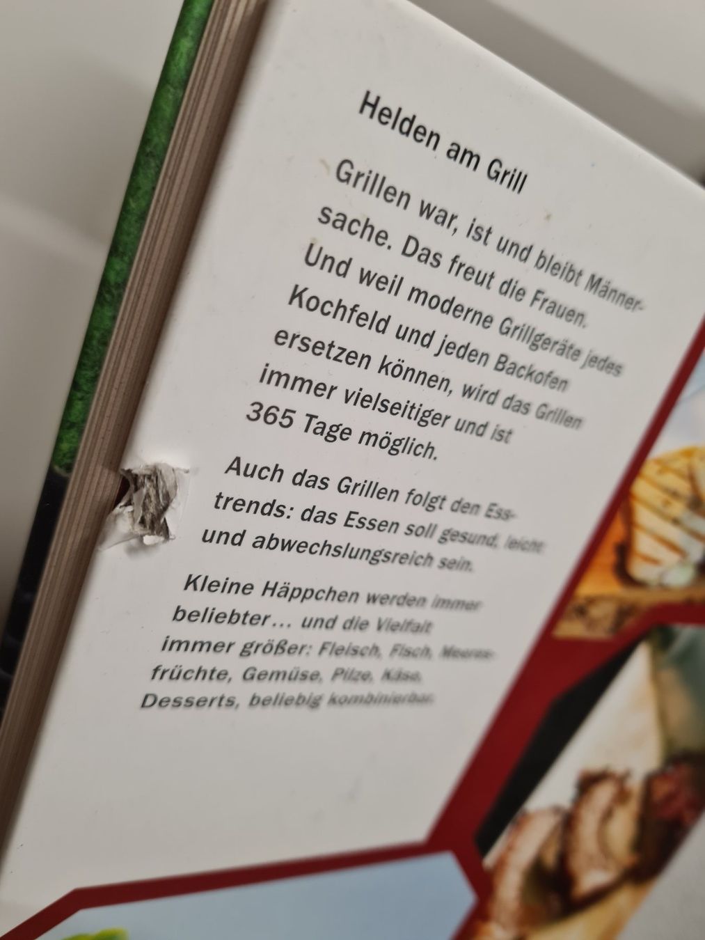 Bücher: Kochbuch / Helden am Grill – Gebraucht aus Amriswil von used2use 2