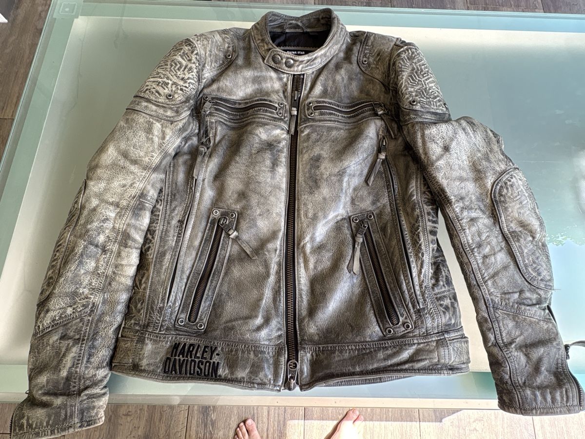 Harley-Davidson Giacche: Robuste Lederjacke von Riding Gear - Harley Davidson, Gr. M – Usato da Steinhausen venduto da Tommaso2 1