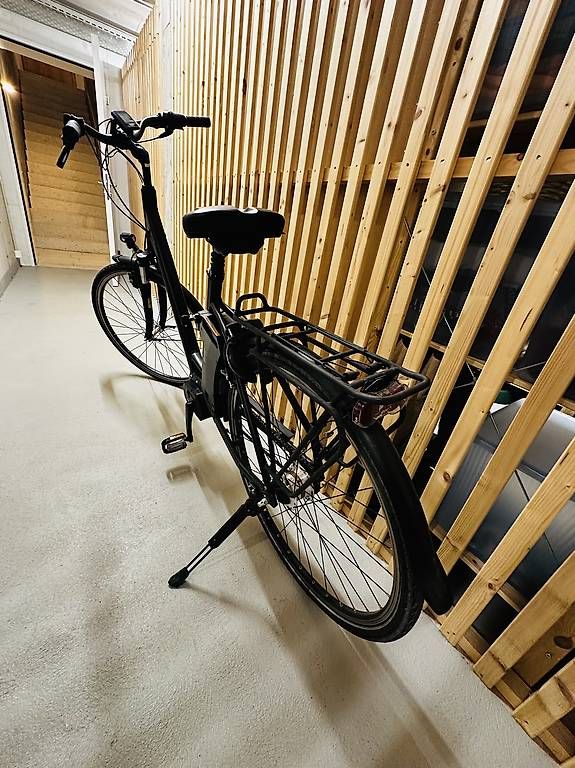 Raleigh Vélos: E-Bike Raleigh EC – D'occasion à Dietikon par 00conci00 2