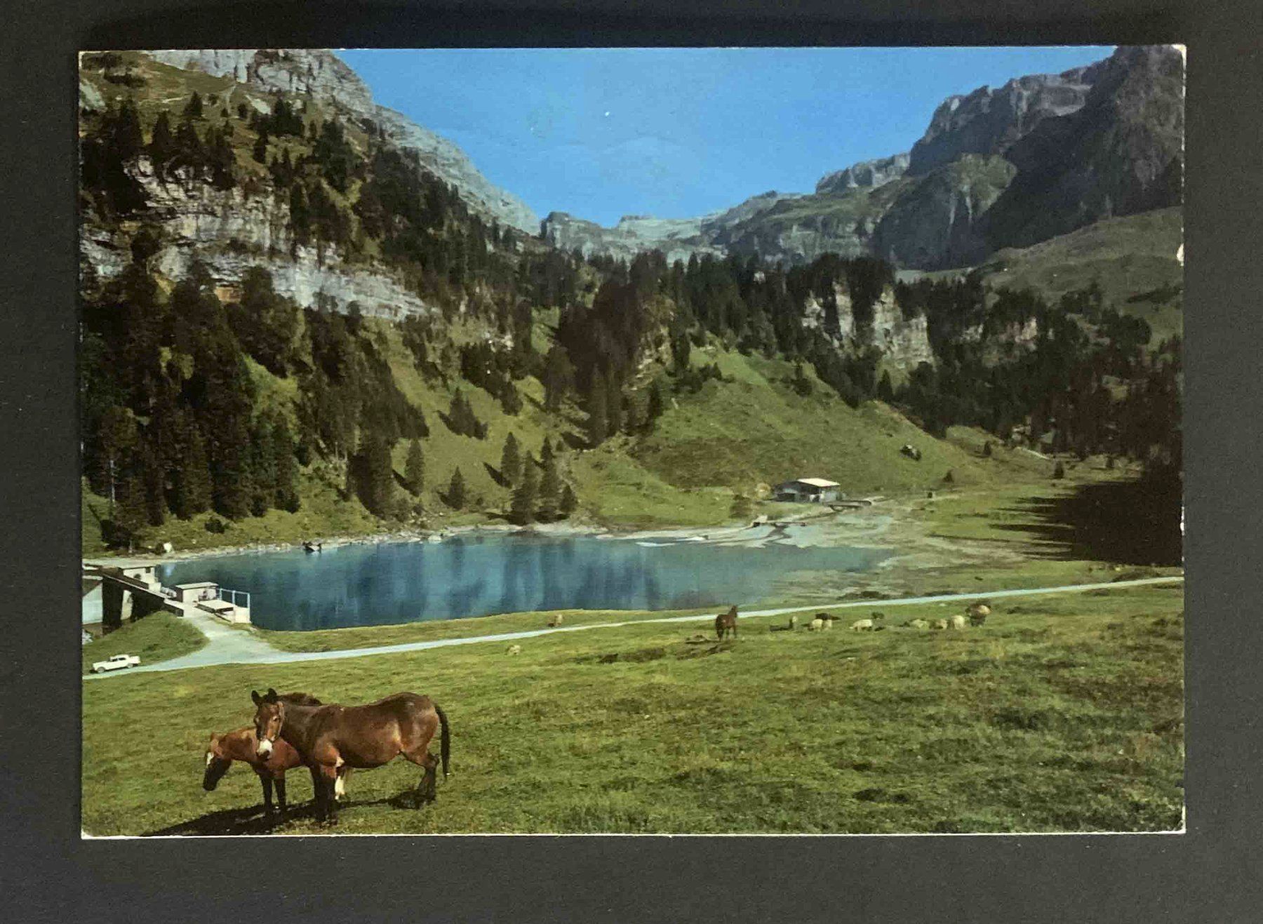 Cartoline postali: AK Bisisthal Sahli – Usato da Goldau venduto da artelier1
