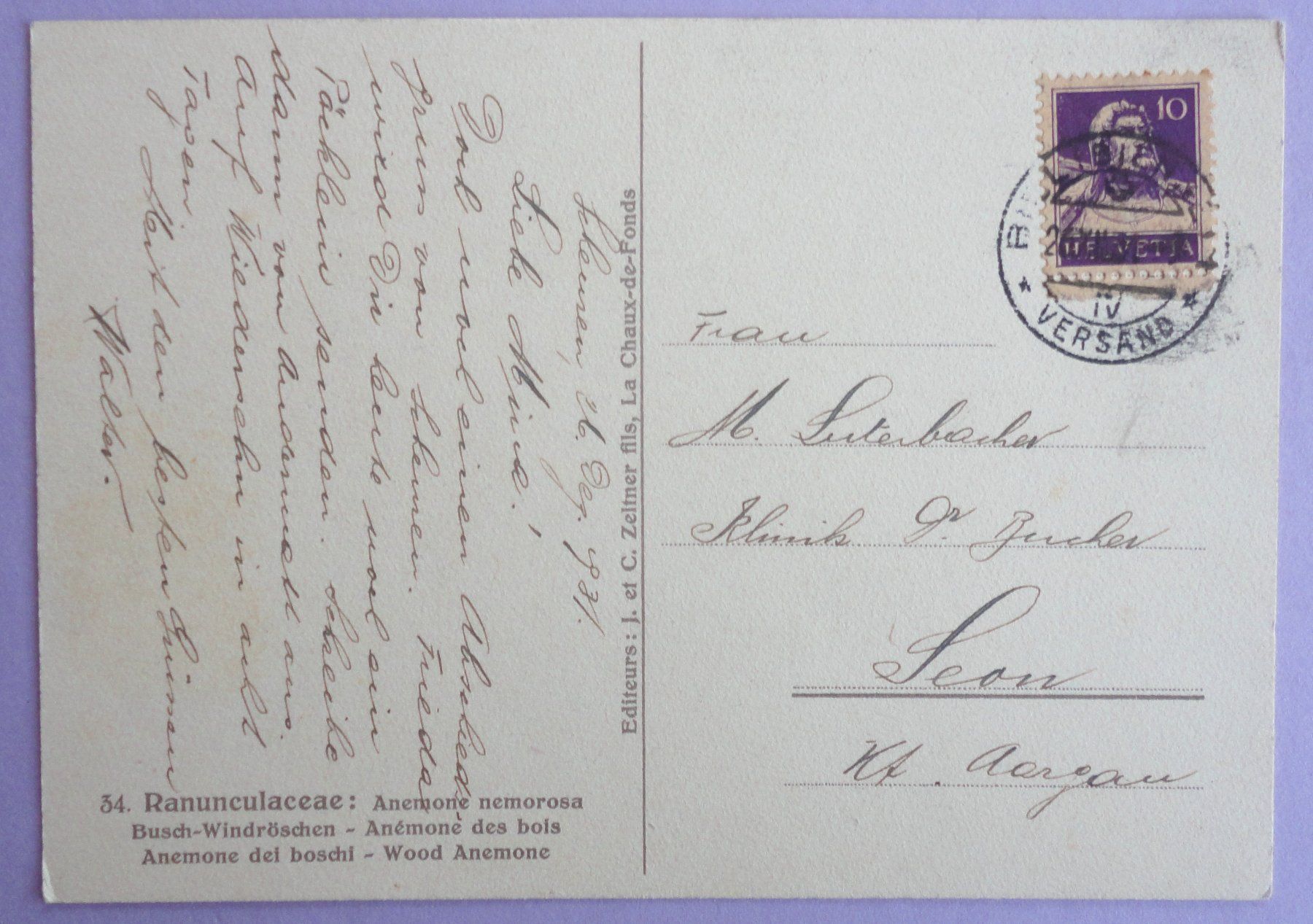 Cartoline postali: Anémones des Bois – Usato da Fétigny venduto da Billy2miny 1