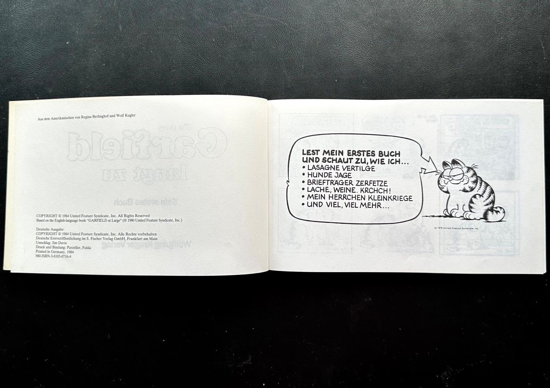 Fumetti: Garfield erstes Buch 1984, hunderte Comics eingestellt – Usato da Seltisberg venduto da quadartswiss 1
