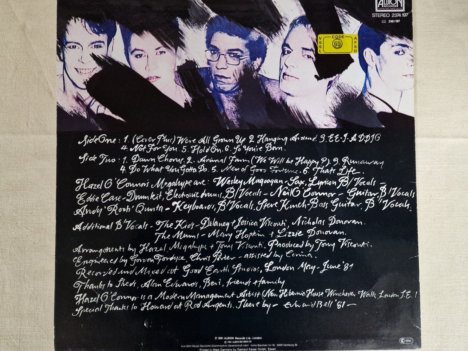 Dischi in vinile: Hazel O'Connor LP – Cover Plus – Usato da Root venduto da atelier22 1