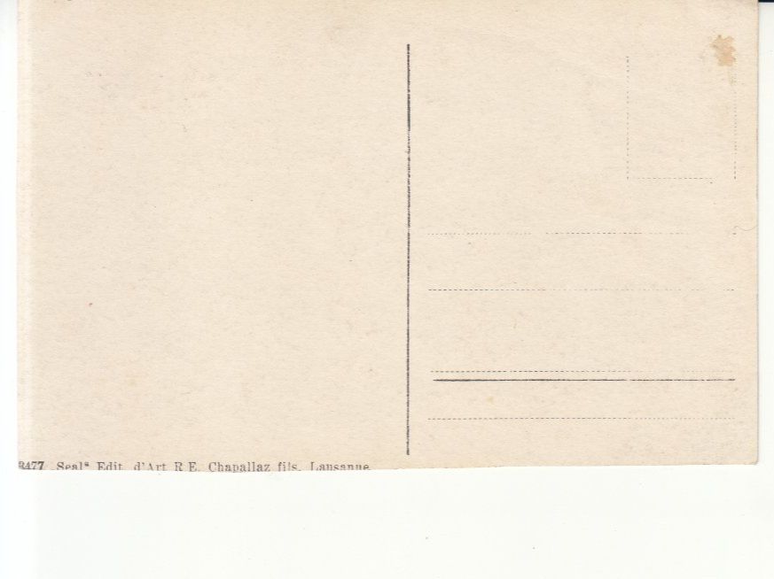 Cartoline postali: Lac Noir ca.1920 – Usato da Bürglen TG venduto da StampGraf 1