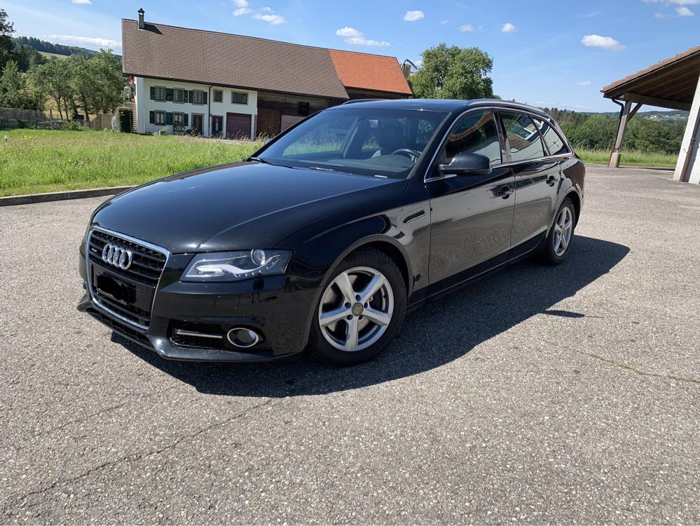 Audi A4 3.0 TDI Quattro Frisch Mfk 16/04/2024