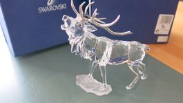 Swarovski Hirsch