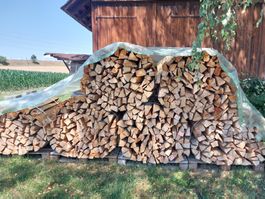 Brennholz Buche