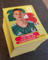 Panini FIFA World Cup 2026 Stickers / WM 2026 Bilder