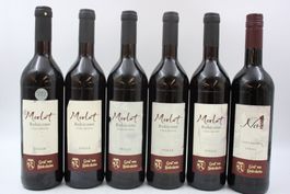 6x GRAF VON RODESHEIM Rotwein (26070661Z)