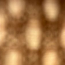 Profile image of 746200
