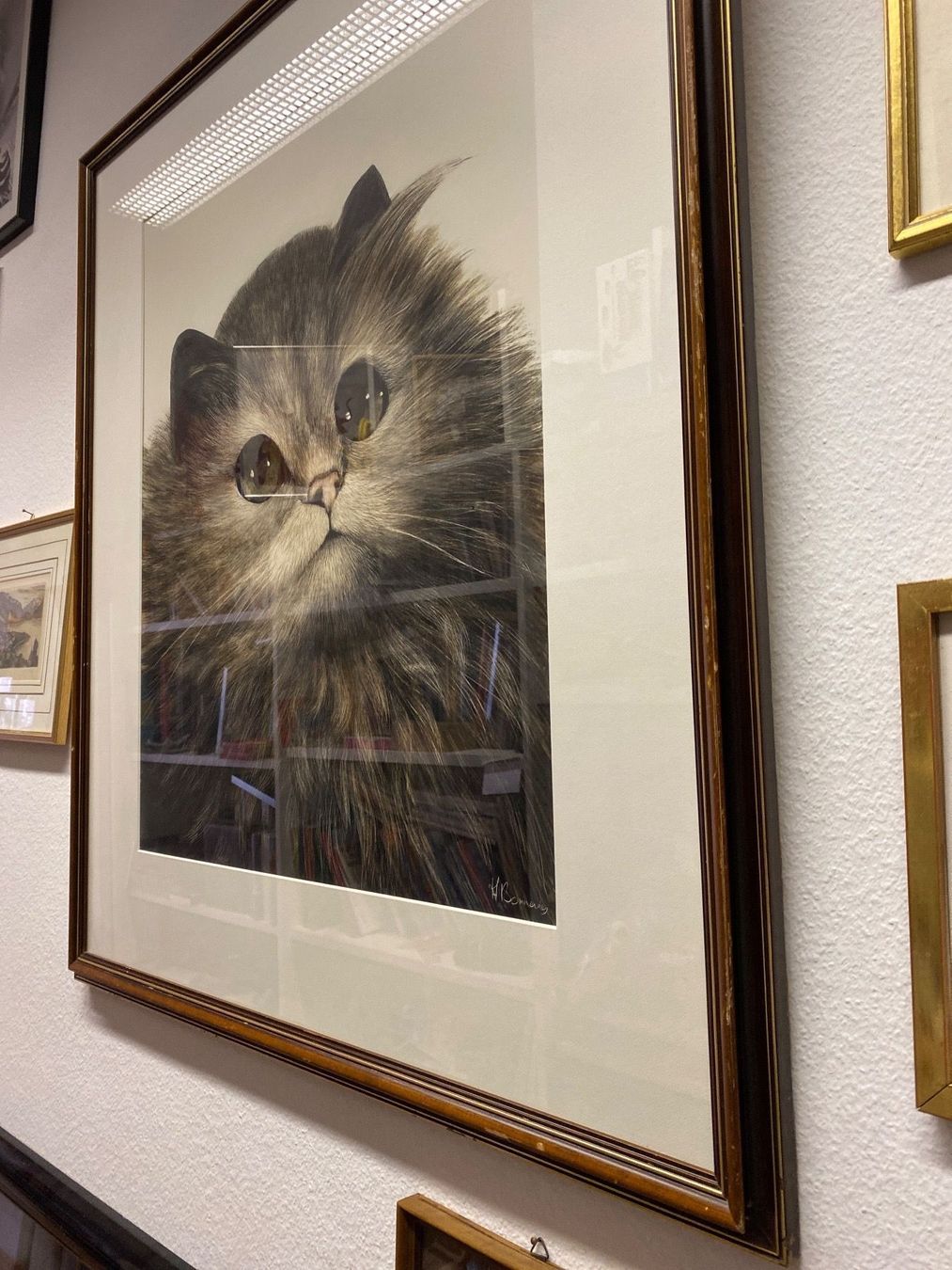 Dipinti: Katzenbild – Usato da Kriens venduto da Wundertuete17 4