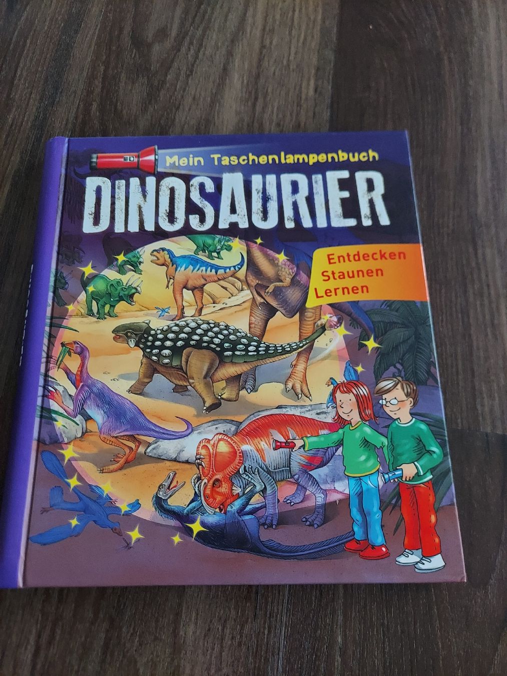 Libri: 2x Dinosaurier Bücher – Usato da Altishofen venduto da tammy05 4