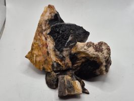 Fossiles (versteinertes) Holz, spinnennetzartigeStruktur 1Kg