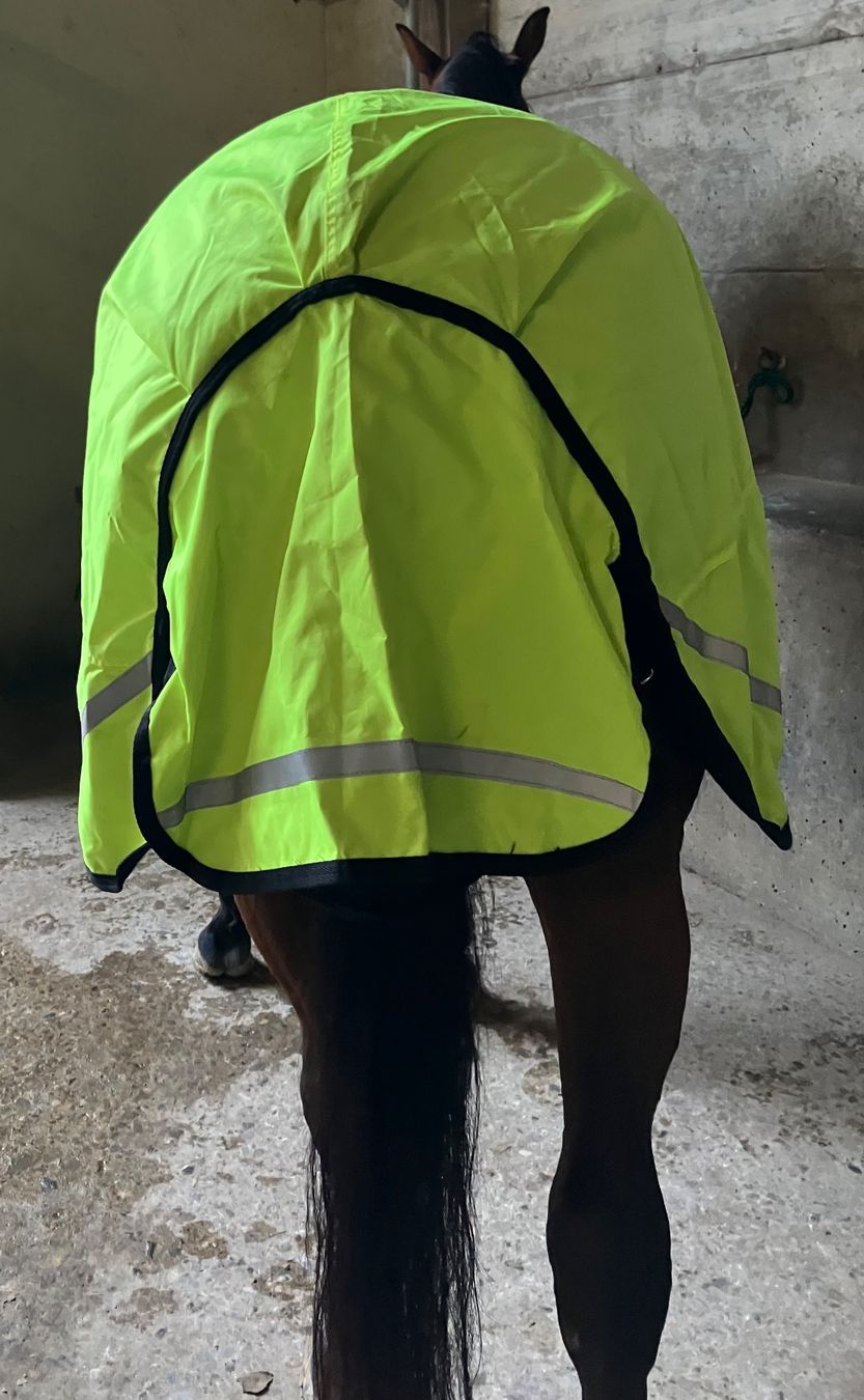 Coperte & Accessori: pferde leuchtdecke 155cm HKM Walker – Usato da kottwil venduto da opononi 2