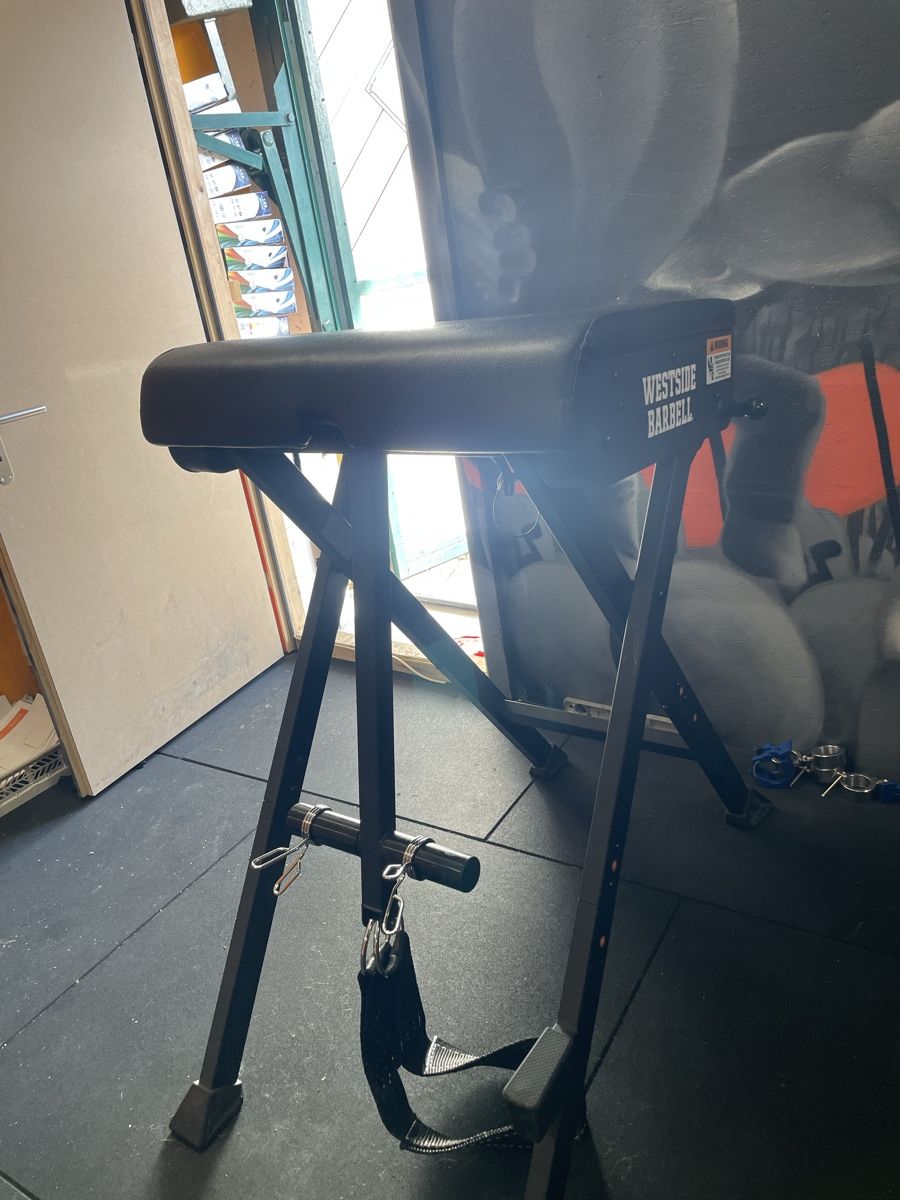 Hometrainer: Westside Barbell Reverse Hyper – Usato da Dällikon venduto da balu814 2