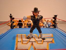 WWF Hasbro Undertaker Serie 4 Vintage Figure Wrestling