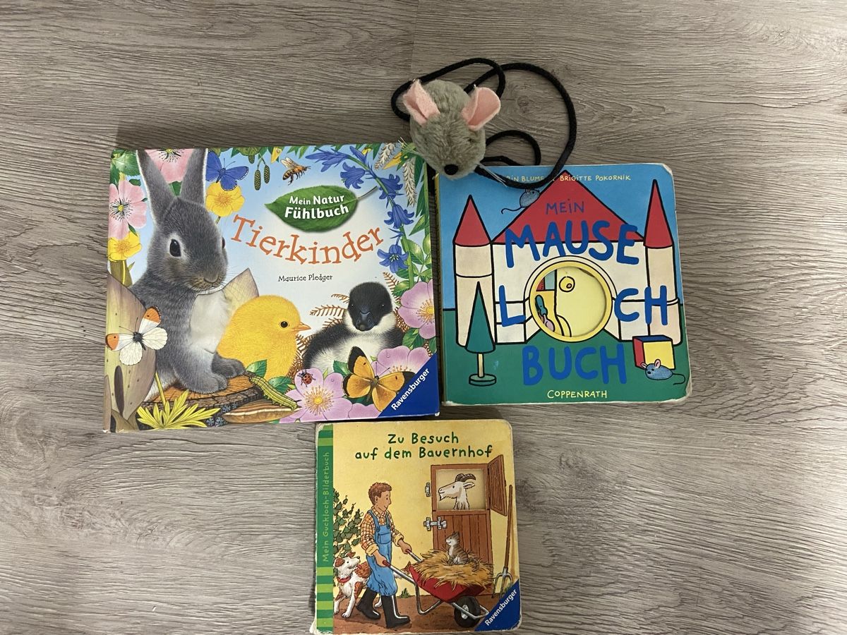 Libri: Kinderbücher – Usato da Rudolfstetten venduto da CorINX