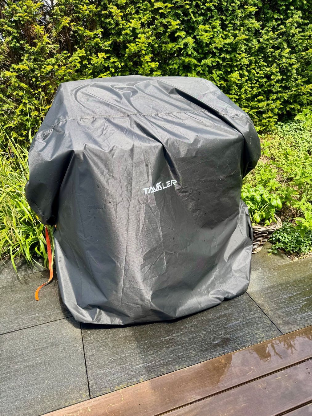 Griglie: Gasgrill NAPOLEON Triumph 495 – Usato da Wettswil venduto da rhino05 5