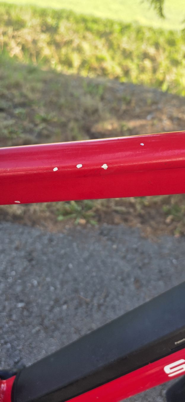 Saxonette Biciclette: Saxonette E-bike 45km/h – Usato da Buchs SG venduto da MATGEOMAR 7