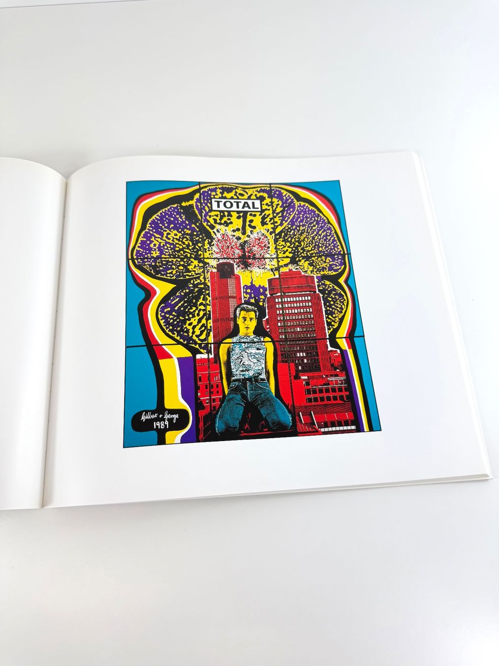 Libri: GILBERT & GEORGE "The Cosmological Pictures" mit Widmung – Usato da Zürich venduto da Arche_Brockenhaus 6
