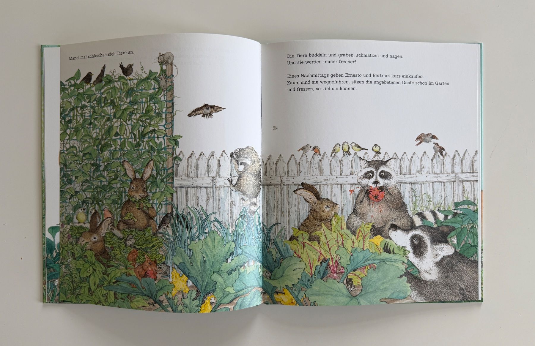 Libri: Alle in den Garten - Buch – Nuovo (secondo la descrizione) da Aarau venduto da Ahoffa 2