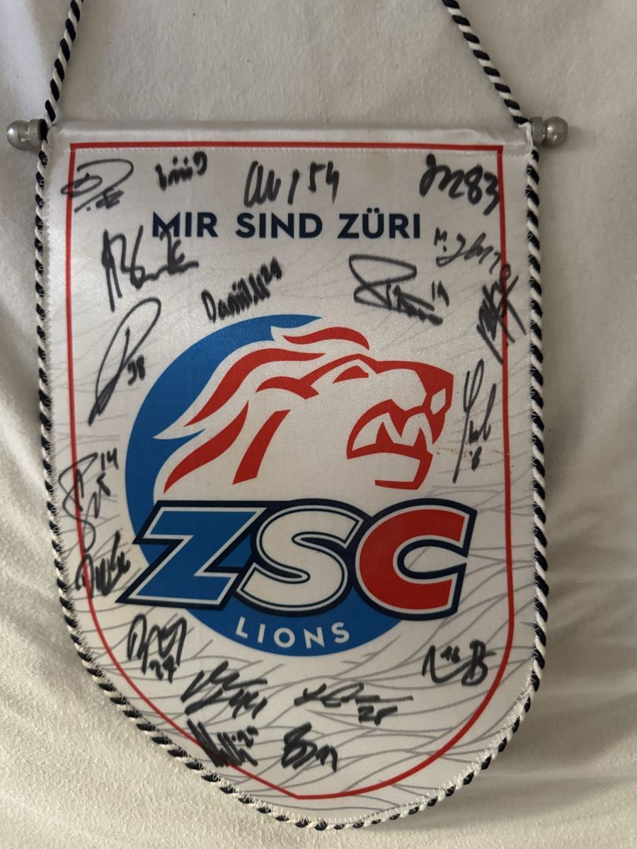 Zsc Lions Bandiere: Zsc Wimpel – Usato da Zürich venduto da ste_5b52
