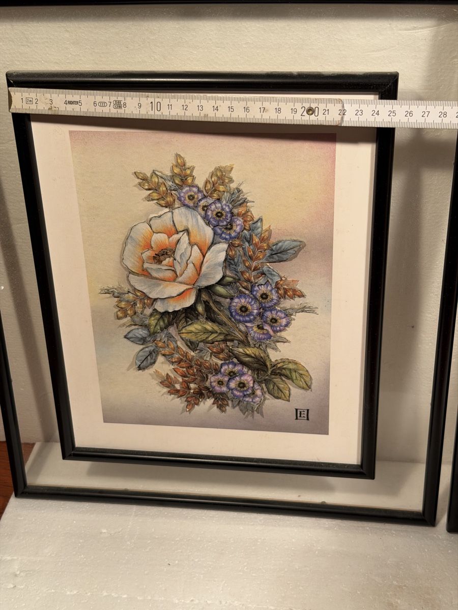 Stickrahmen: Two Framed Floral Prints – Gebraucht aus Lausanne von artnouveau04 5