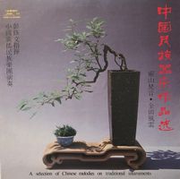 A selection of Chinese melodies on traditional instruments