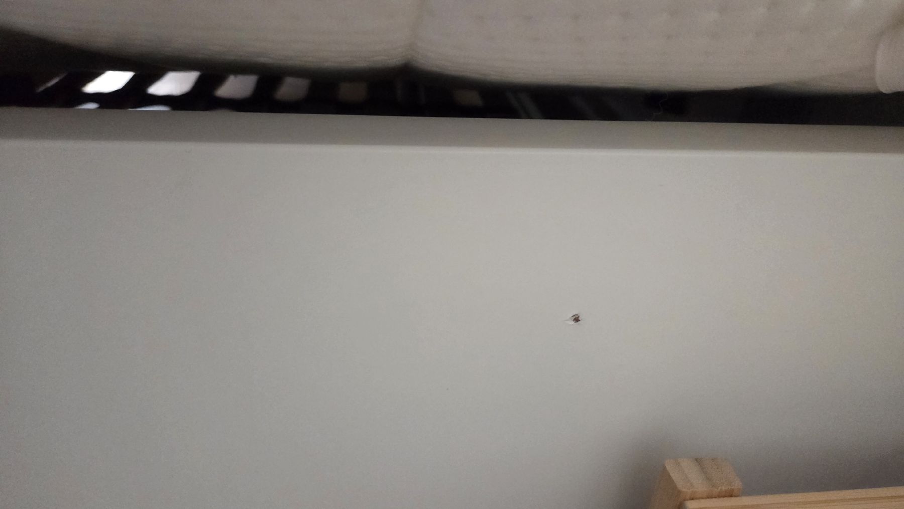 Pfister Letti: Bett mit Lattenrost und Matratzen 180x200 – Usato da St. Gallen venduto da Isabelle1234 5
