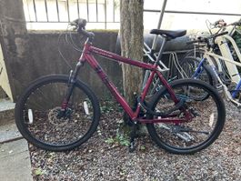 California Mountainbike, Weinrot RH:50cm