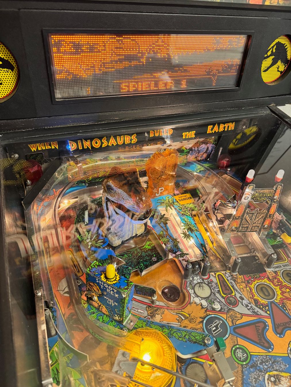 Flipper: Jurassic Park Data East Flipperkasten – Usato da Salmsach venduto da bigbellybank 7