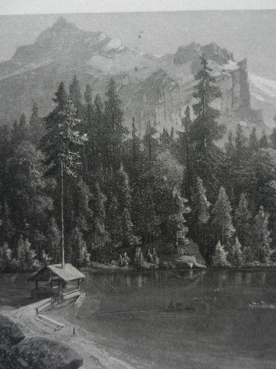 Stiche: Blausee Berner Oberland – Gebraucht aus Risch von Rischli15 5