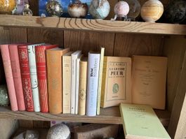Lot 15 livres Ramuz Colette Rilke Claudel Houellebecq