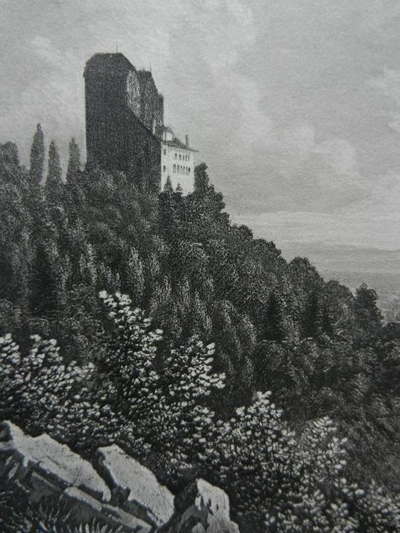 Gravures: Wildegg von Triner – D'occasion à Risch par Rischli15 4