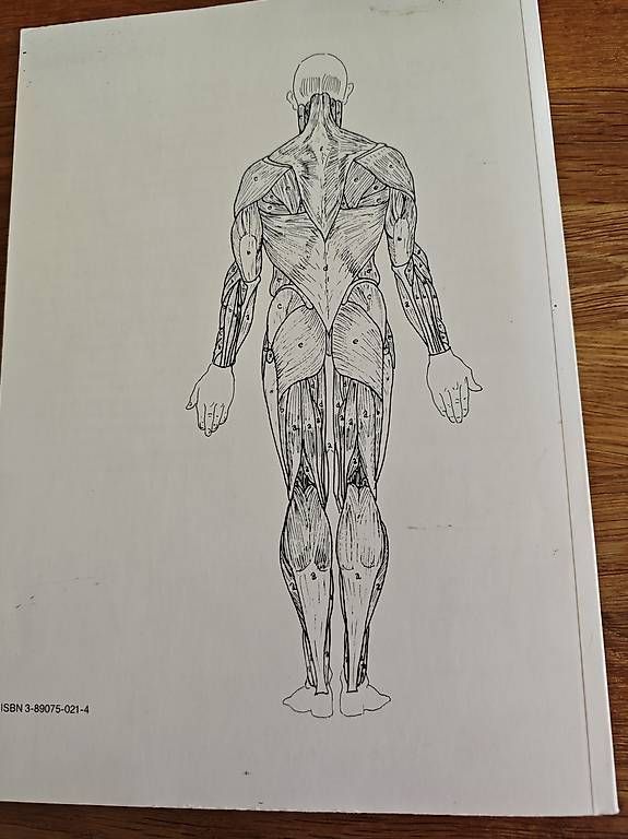 Libri: Anatomie-Malatlas – Usato da Oberengstringen venduto da dalisiana 3