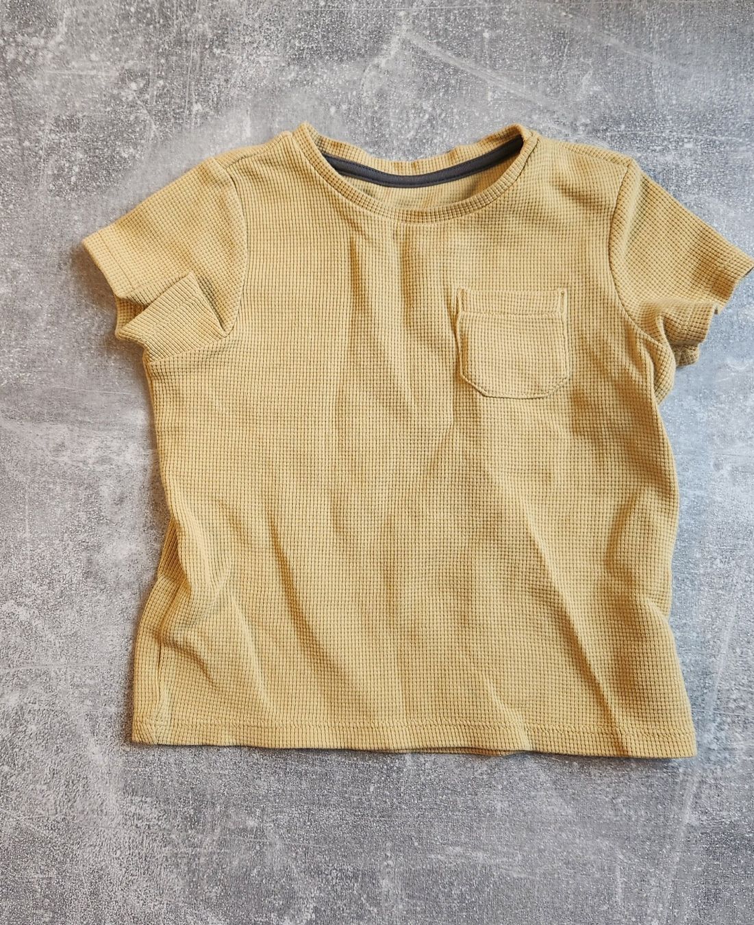 C&A Camicie, T-shirt & Polo: C&A T-Shirt Gr. 80, Senfgelb – Usato da Brittnau venduto da AkimaJukato