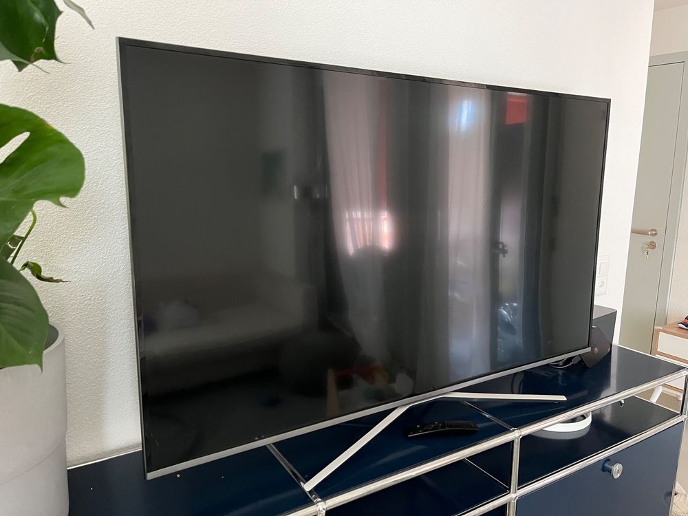 Samsung TV 55 Zoll Kaufen auf Ricardo