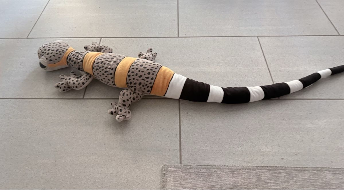 Giocattoli: Stofftier Gecko gross – Usato da Jona venduto da linda8301