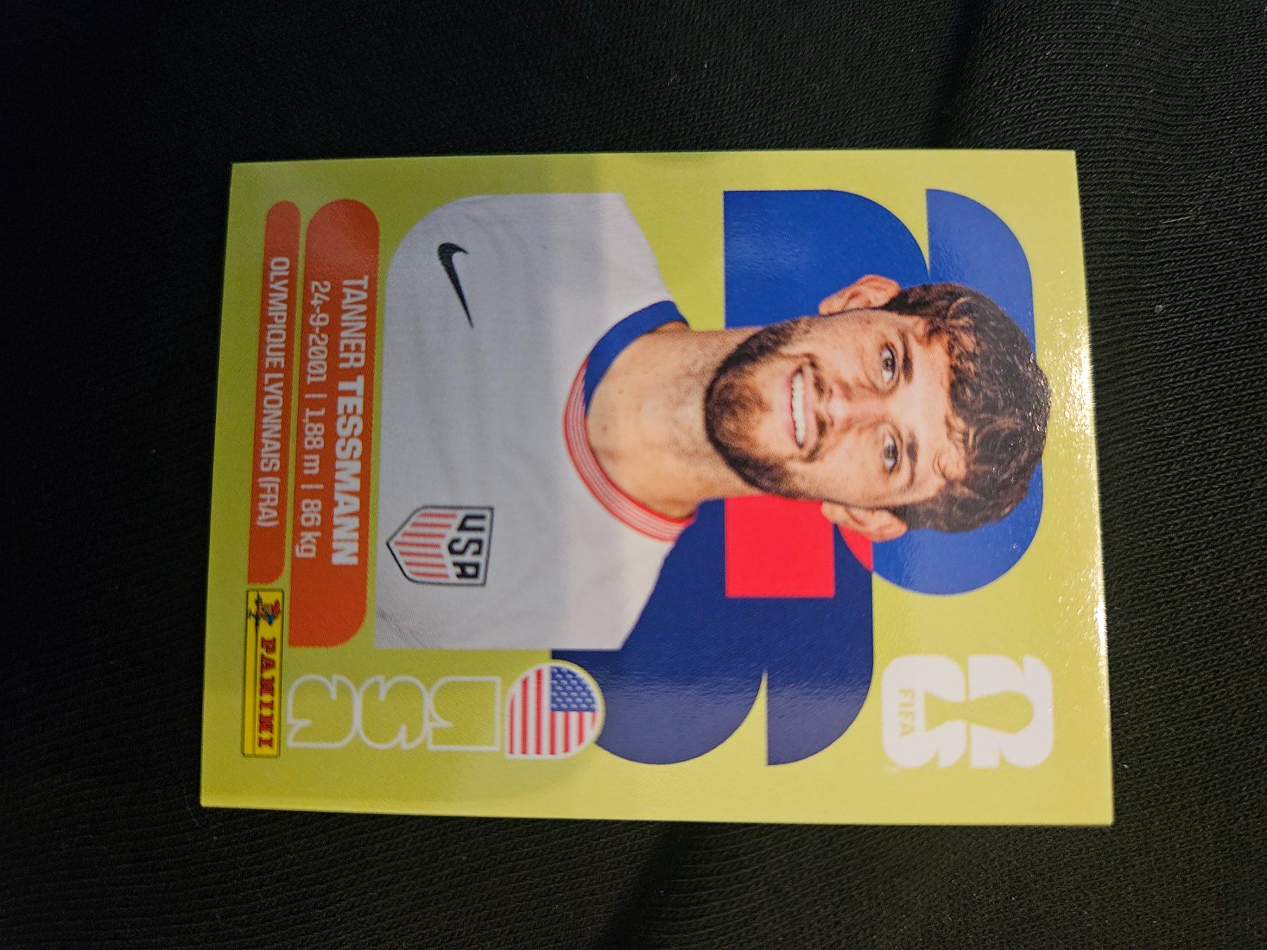 Panini Carte collezionabili: USA9 – Usato da Würenlingen venduto da Dinli