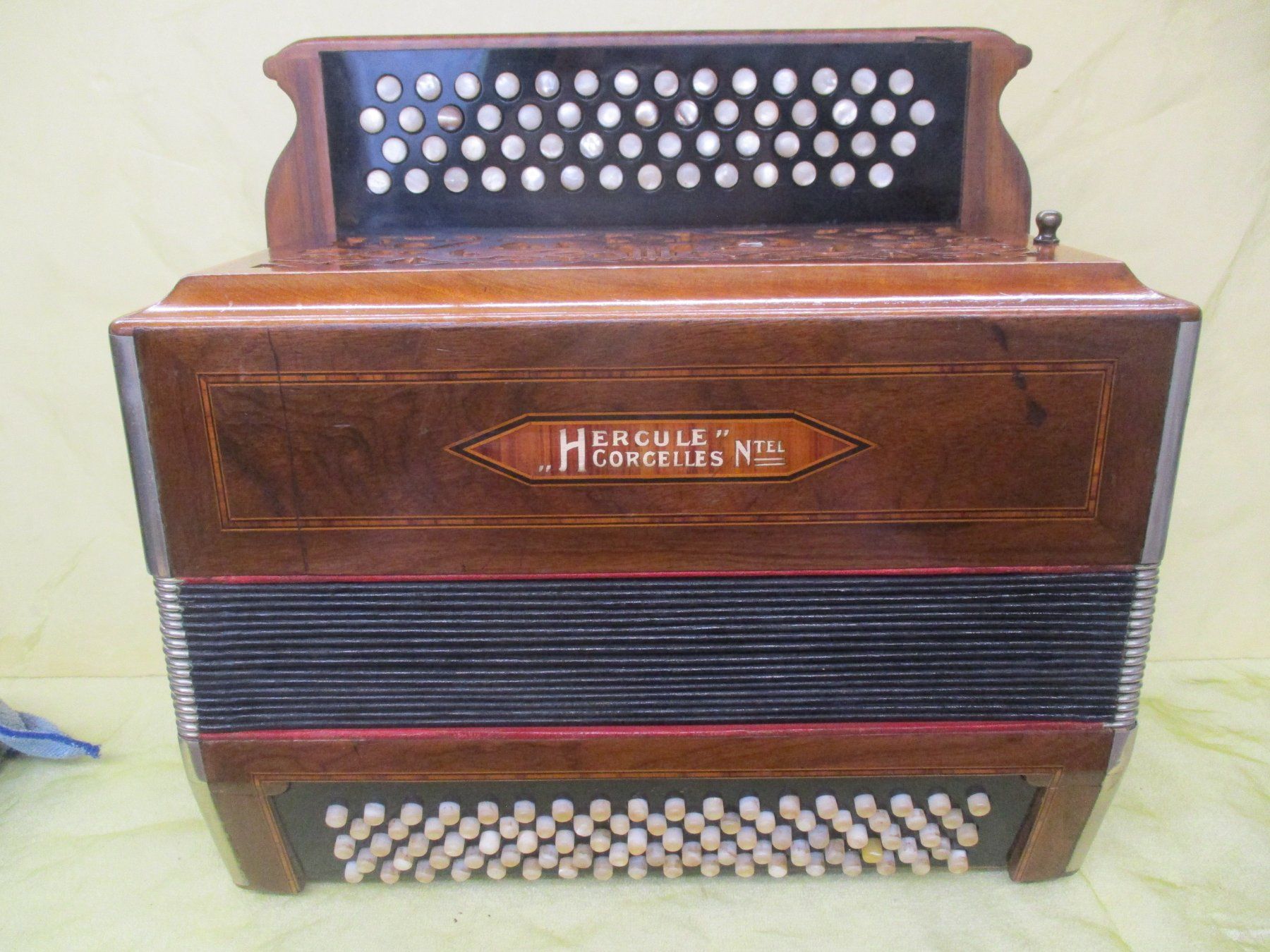 Strumenti musicali: Akkordeon Hercule – Usato da Jegenstorf venduto da Oktavio 5