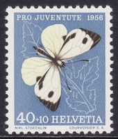 Pro Juventute SBK-Nr. 167 (Kohlweissling 1956) postfrisch **