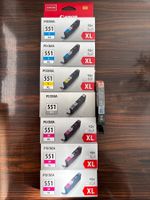Set Canon Pixma Patronen 551 XL