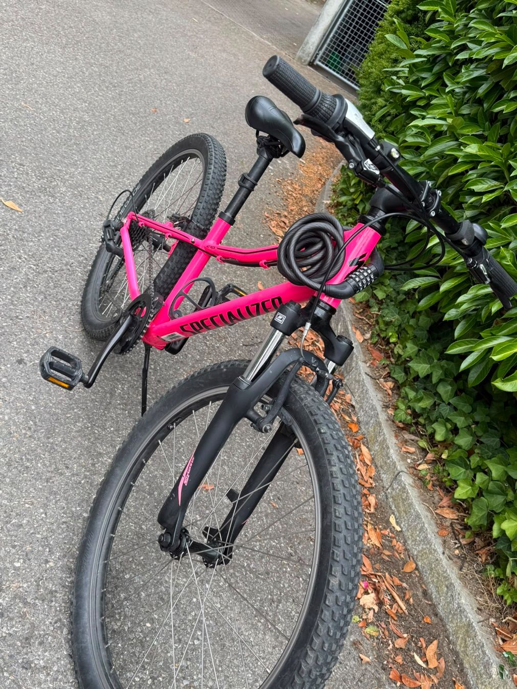 Specialized Vélos: Velo - Specialized 24’’ – D'occasion à Muri b. Bern par MyrMST 1